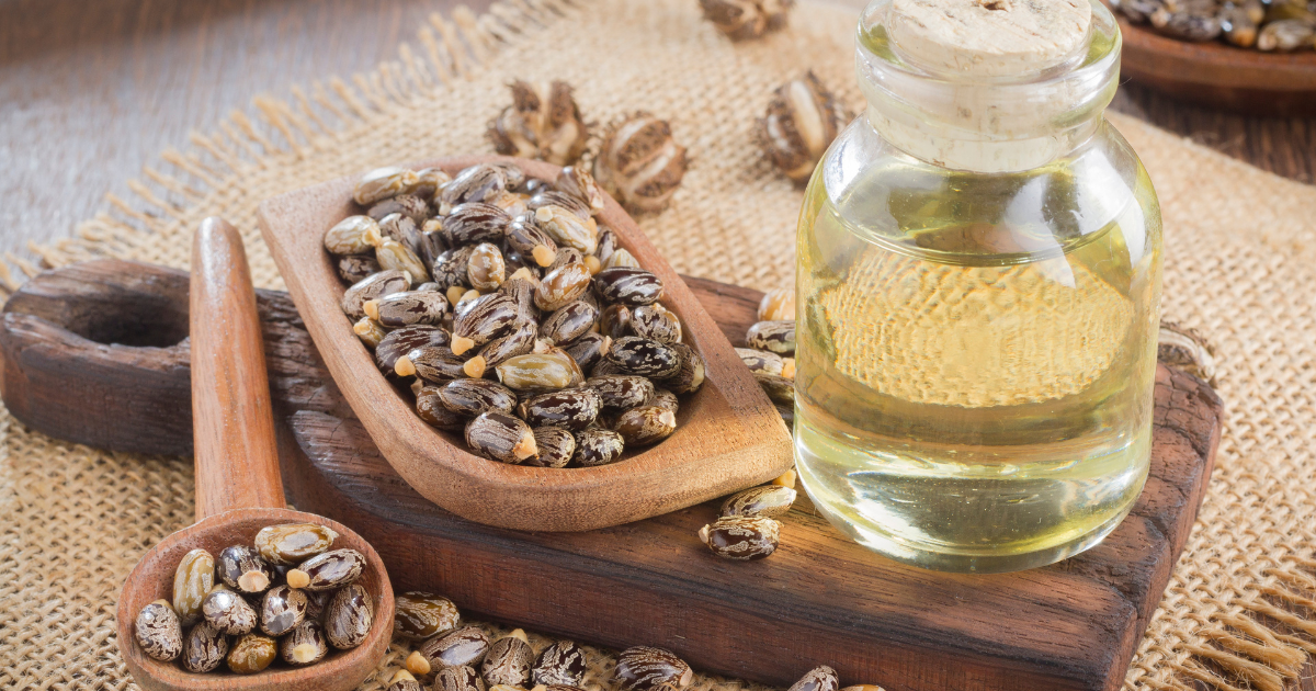 The Castor Oil: Why This Seed Oil Should Be in Your Pantry