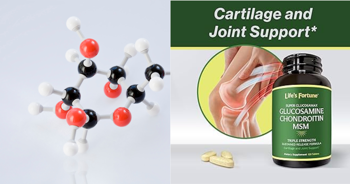 The Role of Life's Fortune Super Glucosamax in Joint Health