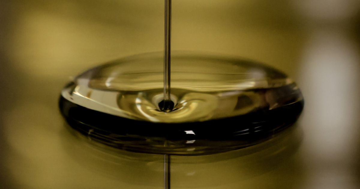 Is Black Sea Body Oil the Next Big Thing in Clean Beauty?