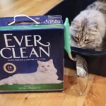 Why Ever Clean Cat Litter Is a Game Changer for Pet Hygiene